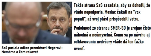 SaS pravá ruka Fica