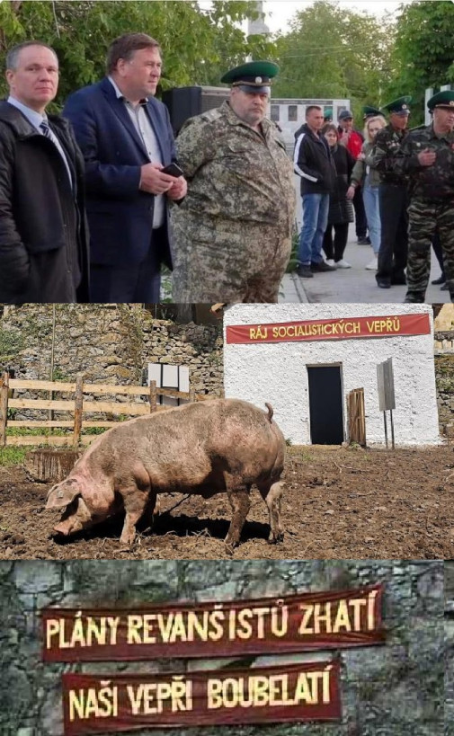 Ale proč mají mít vepři svoji bojovou zastavu?