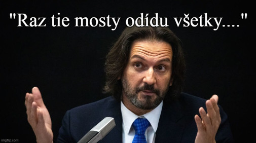 Príspevok 222356
